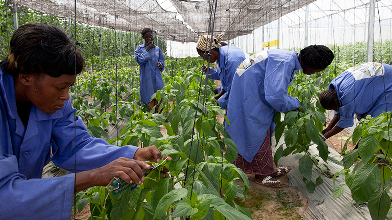 Agriculture